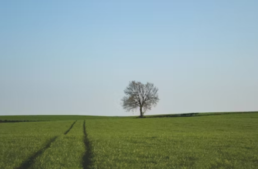 NorthLogic Booking efficient services img